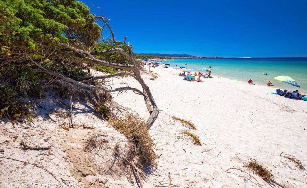 Appartamento A Pochi Passi Dalla Spiaggia Alghero Extérieur photo